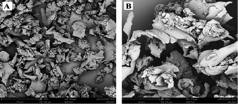 SEM images of composites; 50 RG:50PUF (a), and composites; 75 RG:25PUF (b).