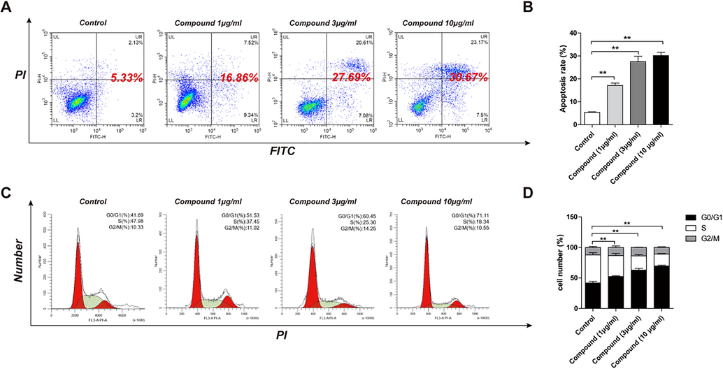 The effect of the complex on HCT-116 cells cell cycle and cell apoptosis rate. After HCT-116 cells were incubated with the complex (0, 1, 3 and 10 µg/mL, respectively) for 48 h, cell apoptosis rate and cell cycle of HCT-116 cells were determined by FCM. Results were mean ± SD for five repeats for each condition.