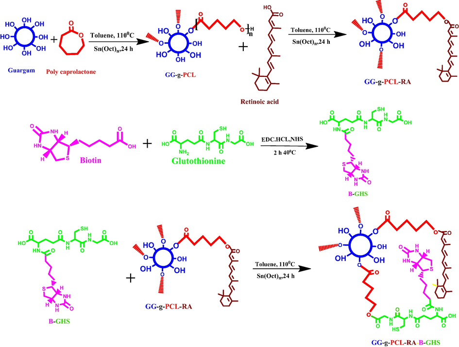 Schematic representation of GG-g-PCL-RA-B-GHS carrier formation by the chemical reactions.