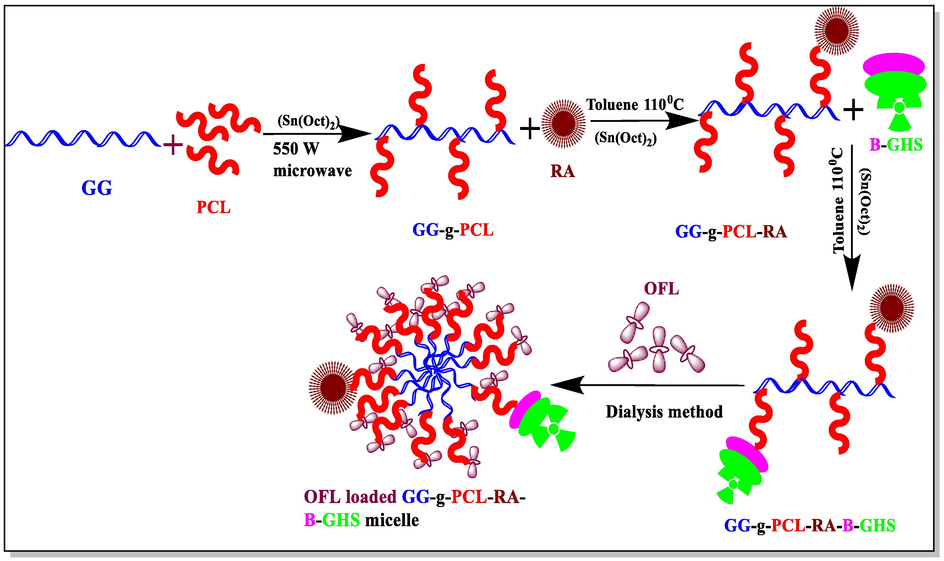 Graphical representation of GG-g-PCL-RA-B-GHSmicelle formation.