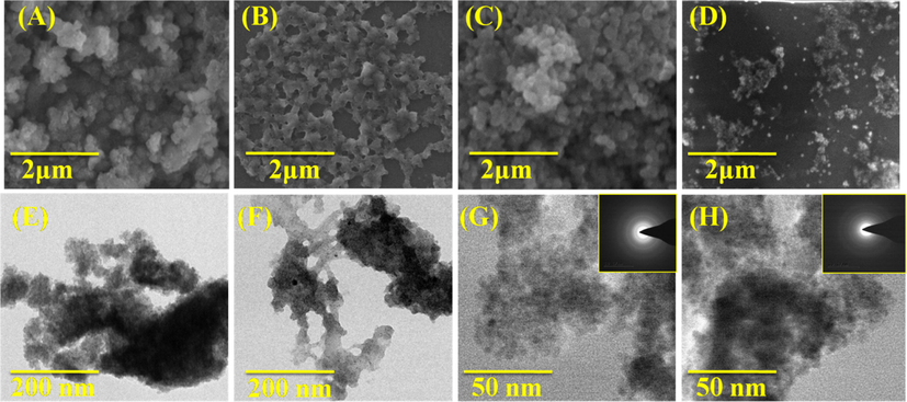 SEM and TEM images of (A&E) GG-g-PCL, (B&F) GG-g-PCL-RA (C&G), GG-g-PCL-RA-B-GHS micelle, & (D&H) OFL loaded GG-g-PCL-RA-B-GHS micelle, and (G) & (H) Inserted SAED image of unloaded and OFL loaded micelle.