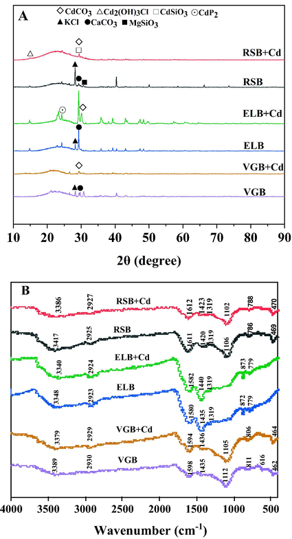 XRD (A) and FTIR (B) spectra of the three biochar before and after adsorption.