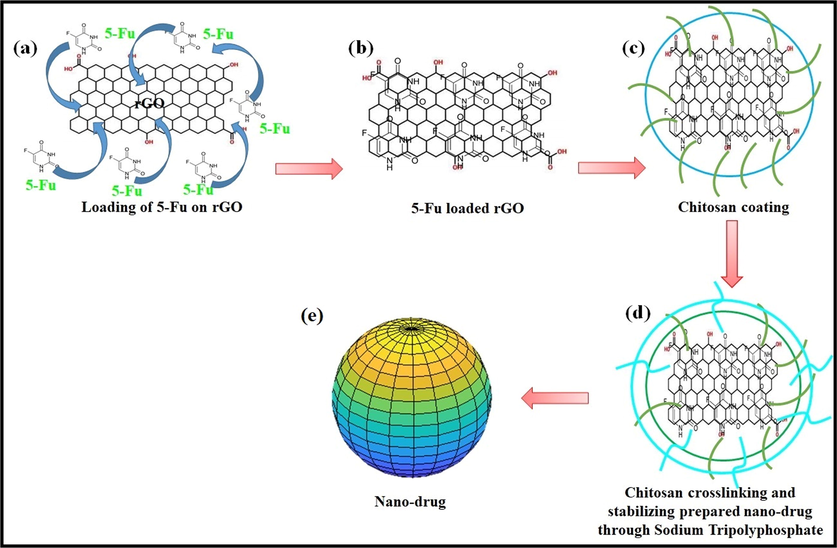 Presents the synthesis of the nano-drug, (a) solution of 5FU and rGO, (b) loading of 5FU onto the rGO through a simply incubating for 24 h, (c) coating of chitosan (0.1%, w/v) using solvent gelation method, (d) crosslinking and stabilizing synthesized nanocomposite sodium tripolyphosphate (0.125%, w/v) and, (e) Nanodrug was got after centrifuging (15,000 for 30 min) drug nanocomposite and treated with lactose monohydrate (2%, w/v) as cryo-protectant.