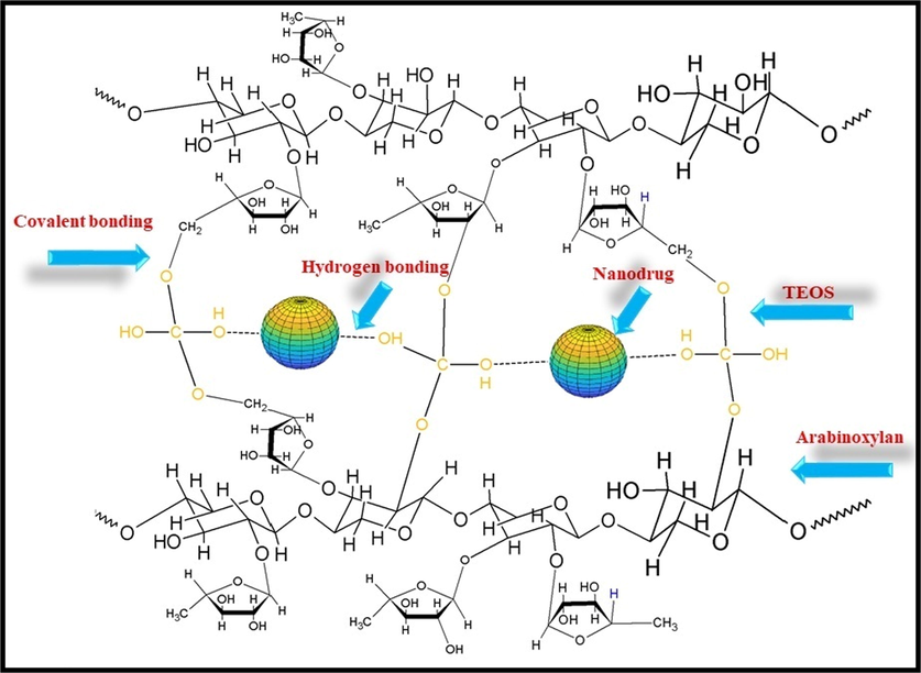 Loading of nanodrug system and crosslinking CMARX with different amounts of TEOS as crosslinker via simple blending method. It also proposed that the nanodrug interacted through hydrogen bonding.