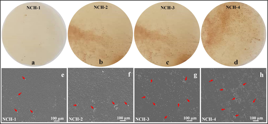 Illustrates the micrographs (a, b, c and d) and surface morphology (e, f, g and) dried nanocomposite hydrogels containing nanodrug. The red arrows are presenting the nanodrug clusters during the drying process.