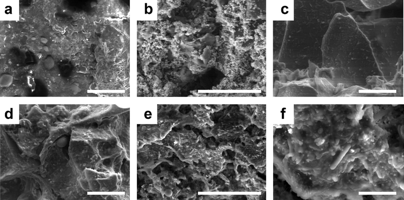 SEM images of the untreated (a) L-GO anode, (b) cathode (i.e., graphite rod), and (c) L-GO–ZnO anode; and of the treated (d) L-GO anode, (e) cathode (i.e., graphite rod), and (f) L-GO–ZnO anode. Scale bar: 30 µm.