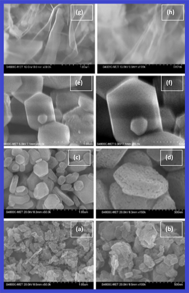 FESEM images of (a-b) Nanocrystalline Pure MgO, (c-d) 1 wt% Fe doped MgO, (e-f) 1 wt% Cu doped MgO, (g-h) 1 wt% Mn doped MgO.