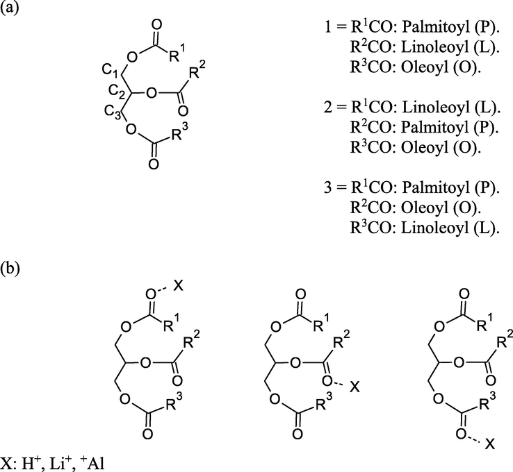 Triglyceride models 1, 2, and 3 (a) used to construct the cationic models (b) in the B3LYP/6-31G* calculations.