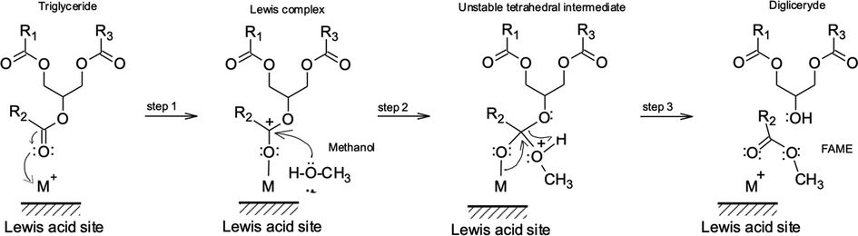 Mechanism for triglyceride transesterification by Lewis acid catalysts.