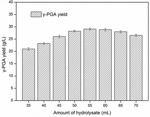 Effect of hydrolysate concentration on γ-PGA production.