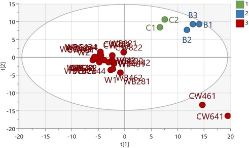 PLS-DA plot score of meatball samples (C: chicken, B: beef, W: wild boar, WB: wild boar–beef, CW: chicken–wild boar, and WBC: wild boar–beef–chicken). The number represents the ratio of each meat and replication number.