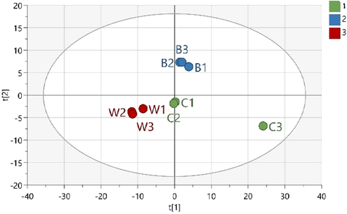 PLS-DA score plot of meatball volatiles' data. Only samples of 100% chicken (class 1; C1, C2, and C3), 100% beef (class 2; B1, B2, and B3), and 100% wild boar (class 3; W1, W2, and W3) are included.