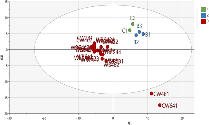 PLS-DA score plot of meatball volatile compounds data. Only samples of 100% chicken (class 1; C1, C2, and C3), 100% beef (class 2; B1, B2, and B3), and mixture meatballs (class 3; WB with different compositions) are included. Pure wild boar meatballs are excluded. Only the first two PC is presented (PC1 = 46.4%, PC2 16.4%, R2Y = 0.984, Q2Y = 0835).