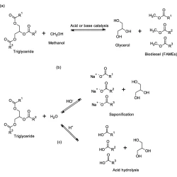 Article figure