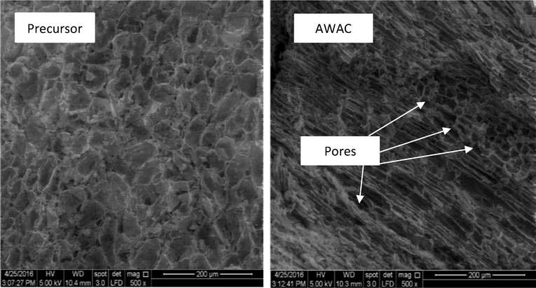SEM images of precursor and AWAC.