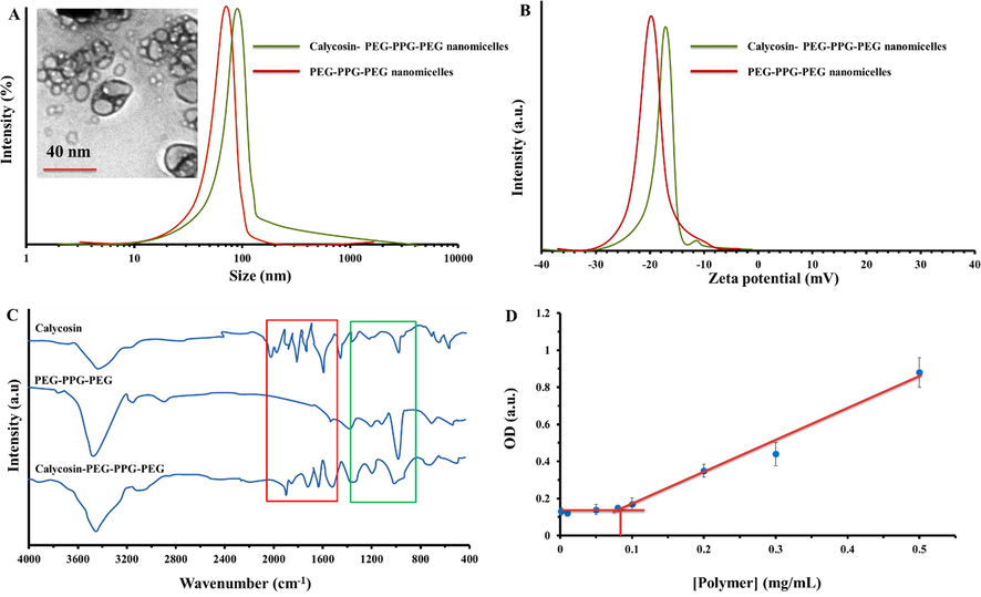 (A) Particle size distribution of free and calycosin-PEG-PPG-PEG nanomicelles. The inset shows the TEM image of nanomicelles. (B) Zeta potential values of free and calycosin-PEG-PPG-PEG nanomicelles. (C) FTIR spectra of calycosin, PEG-PPG-PEG copolymer and calycosin-PEG-PPG-PEG compound. (D) CMC determination based on UV/vis spectroscopy. Data are presented as means ± (SD) of three independent experiments.