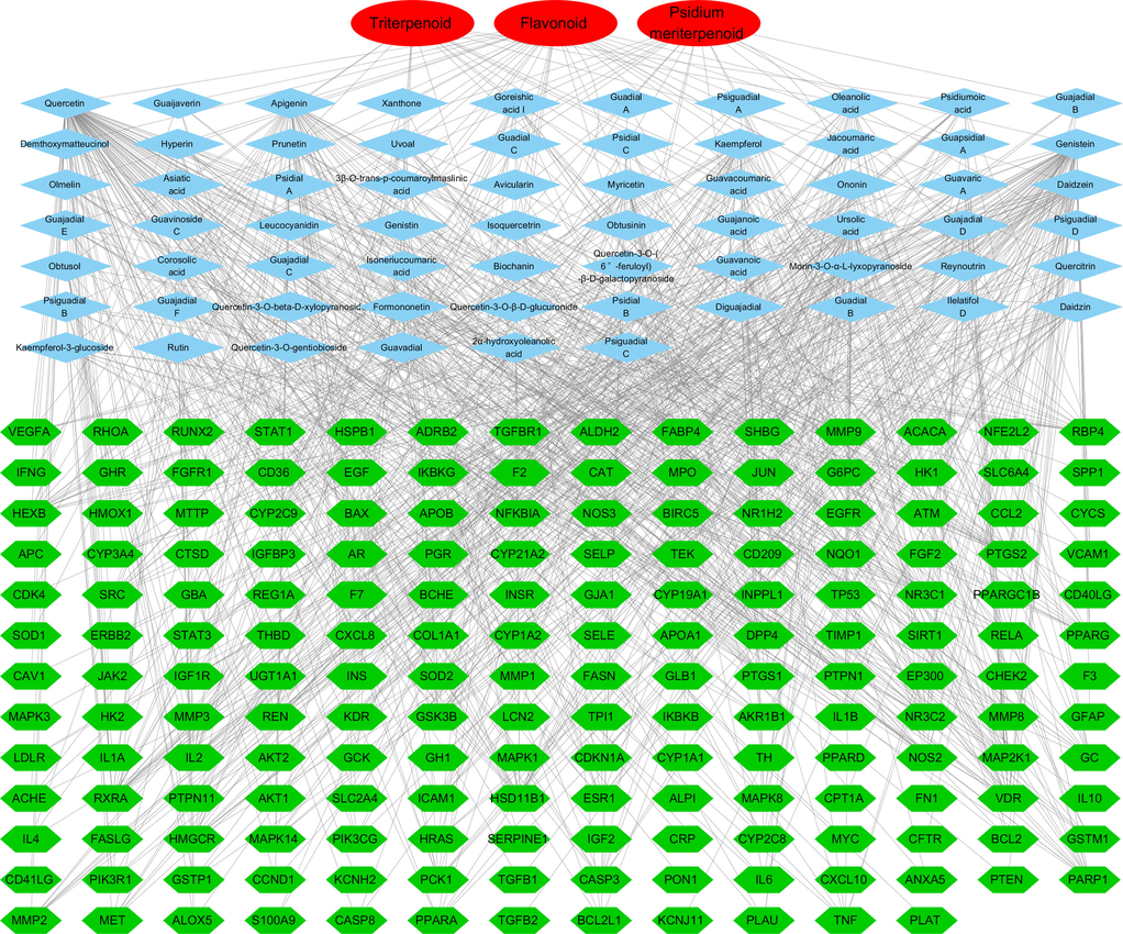 The “compound-active components-target genes” pharmacological network.