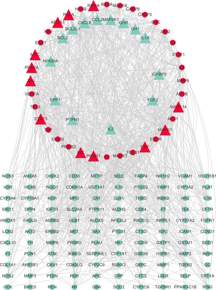 The PPI network of 179 target genes.