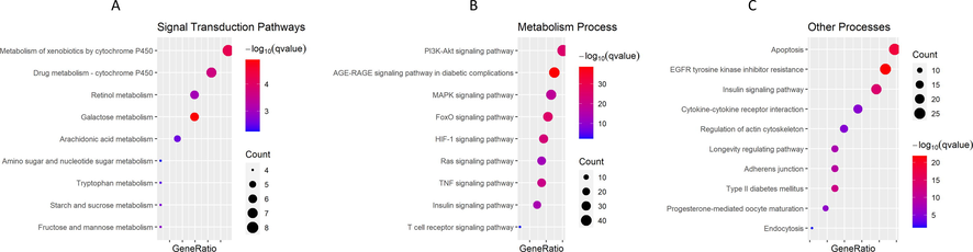 GO analysis of target genes (A) Metabolic process. (B) Signal transduction pathways. (C) Other processes.