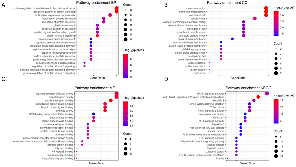 Functional enrichment analysis of key genes (A) Biological process. (B) Cellular Component. (C) Molecular function. (D) KEGG enrichment.