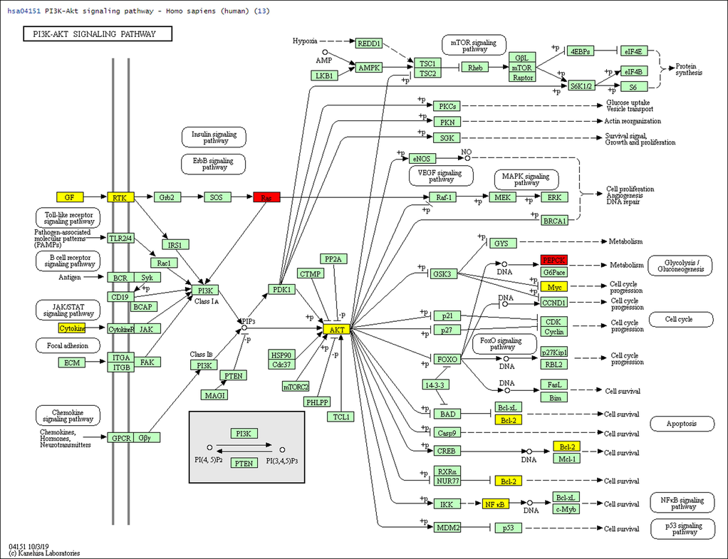 Pathway diagram of PI3K-AKT pathway and the involvement of 13 key genes.