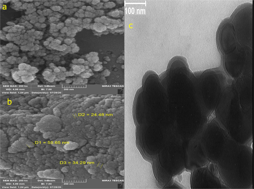 a, b: SEM Images; c: TEM image of VNPs@C.officinalis.
