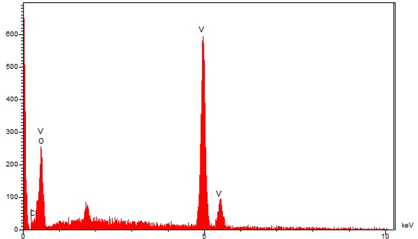 EDS analysis of VNPs@C.officinalis.