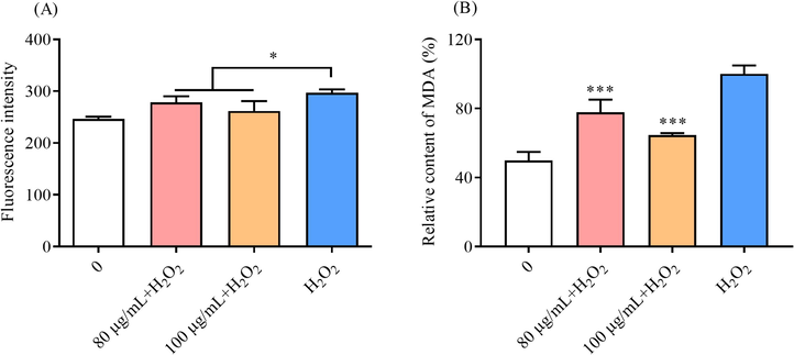 Under the oxidative stress, after pretreated with HY, (A) the ROS level and (B) the MDA content in CHO cells. The significance was evaluated by ANOVN compared with the cell viability of H2O2 group. * meant p < 0.05.