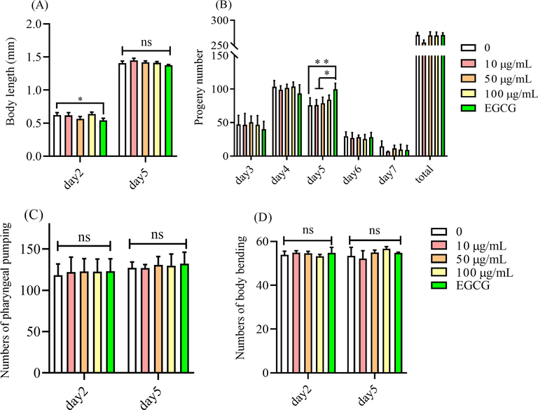 HY showed no toxicity on C. elegans. (A) the body length of C. elegans treated with HY. Fifteen worms were randomly picked from each treatment group, and the test was repeated three times. (B) the effect of HY on the fertility of C. elegans. Each group was 10 worms in a parallel, and the test was repeated three times. The effect of HY on the motility of C. elegans including (C) pharyngeal pumping and (B) body bending. 15 worms were in each group, and the test was repeated three times. The significance was evaluated by ANOVN compared with the blank control. * means p < 0.05 and *** meant p < 0.001. The concentration of EGCG was 50 μg/ml.