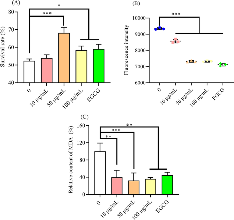 The protection of HY on the C. elegans under oxidative stress. (A) the survival of worms exposed to hot stress and there were 30 worms in each group, and the test was repeated three times.. The effect of HY on (B) the ROS level and (C) the content of MDA in C. elegans under stress conditon and the number of worms per experiment was about 2000 and 3 independent experiments were performed. The significance was evaluated by ANOVN compared with the blank control. * means p < 0.05, ** means p < 0.01 and *** meant p < 0.001. The concentration of EGCG was 50 μg/ml.