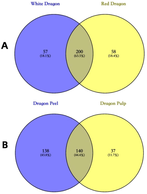 Venn diagram of phenolic compounds presented in different dragon fruit varieties and parts. (A) shows the relations of total phenolic compounds present in red and white dragon fruits. (B) shows the relations of total phenolic compounds present in dragon fruit peel and pulp.