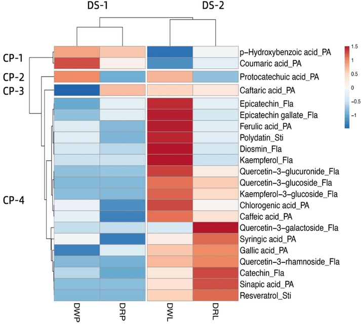Heatmap showing phenolic compounds distribution and concentration among dragon fruit samples. Red boxes mean higher concentrations. Blue boxes mean lower concentrations. DWP, white dragon fruit pulp; DWL, white dragon fruit peel; DRP, red dragon fruit pulp; DRL, red dragon fruit peel; PA: phenolic acids; Fla: flavonoids; Sti: stilbenes; DS 1–2: dragon fruit sample clusters; CP 1–4: phenolic compound clusters.