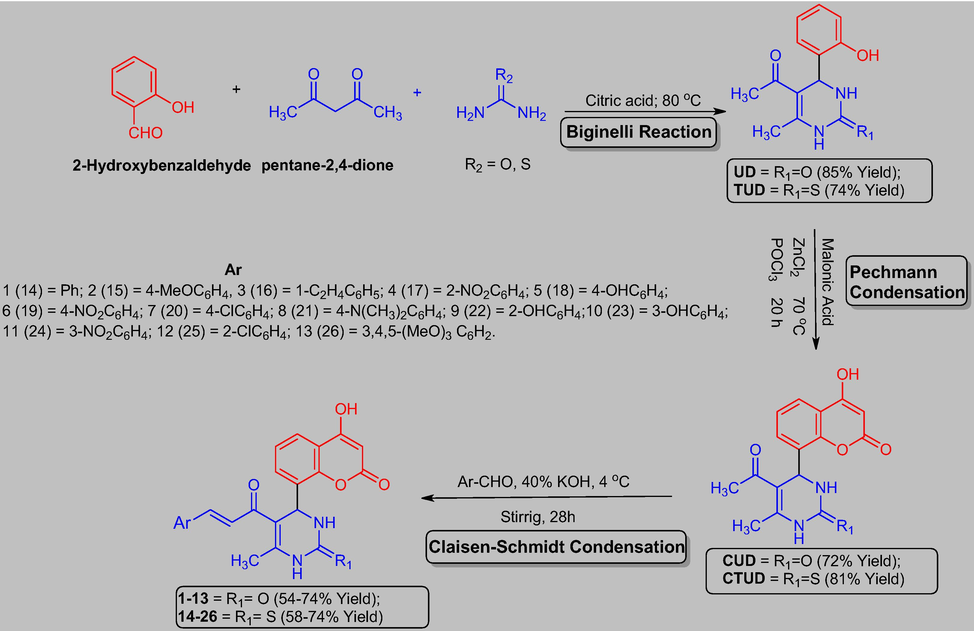 Synthetic protocol for the preparation of target coumarin clubbed chalcone hybrids (1–13 and 14–26).
