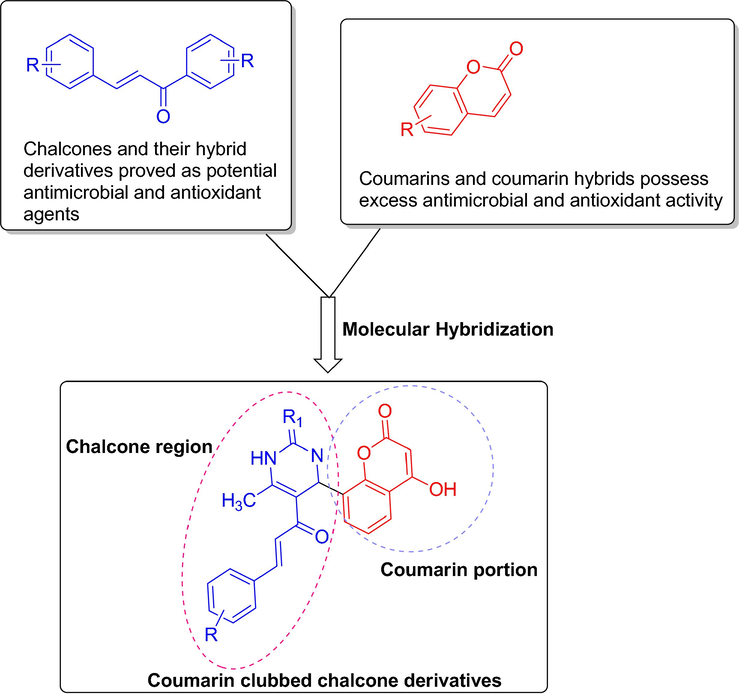 Design strategy for coumarin clubbed chalcone hybrids.