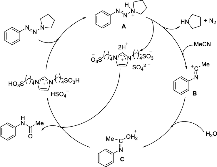 Plausible mechanism for N-phenylacetamide.