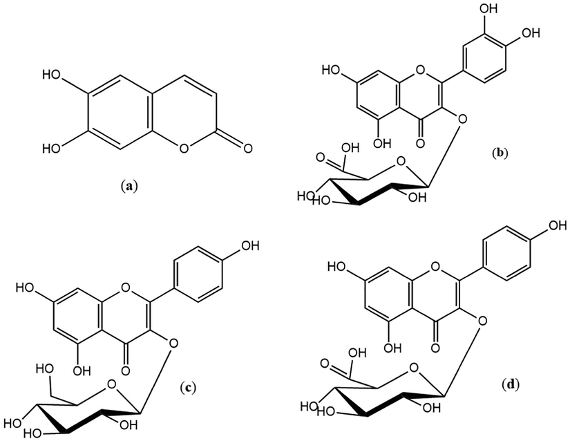 Chemical structure of the isolated compounds from E. retusa extract. (a) Esculetin, (b) Quercetin -3-O-β-D-glucuronide, (c) Kaempferol -3-O-β-D-glucoside, (d) Kaempferol -3-O-β-D-glucuronide.