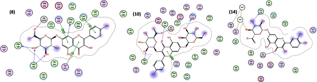 2D-interactions of compounds, (8) Kaempferol 7-O-glucuronide, (10) Kaempferol 3-O-glucuronide-7-O-glucoside, (14) Quercetin 7-O-glucuronide with amino acid residues on collagenase. Numbers are from Table 2.
