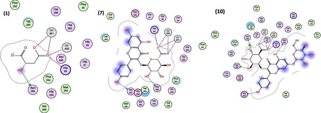 2D-interactions of compounds, (1) Malic acid, (7) Kaempferol 3-O-glucuronide and (10) Kaempferol 3-O-glucuronide 7-O-glucoside with amino acid residues on tyrosinase. Numbers are from Table 2.
