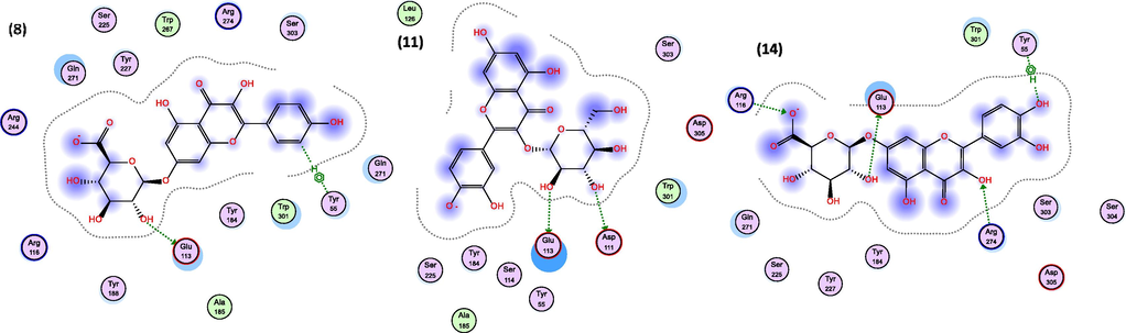 2D-interactions of compounds (8) Kaempferol 7-O-glucuronide, (11) Quercetin 3-O-glucoside and (14) Quercetin 7-O-glucuronide with amino acid residues on hyaluronidase. Numbers are from Table 2.