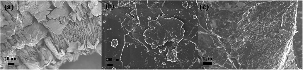 The SEM images of (a) exfoliated graphite before adsorption studies (b) after Cr (VI) adsorption and (c) after phenol adsorption.