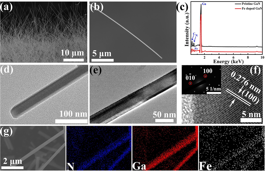 Morphological characterization of Fe-GaN nanowires. (a) Low-resolution SEM. (b, c) SEM image and EDS analysis of single nanowire. (d, e) Low-resolution TEM. (f) HRTEM image of nanowire with (1 0 0) plane; the top left inset was the SAED pattern. (g) SEM image and corresponding elemental mapping analysis of nanowires.