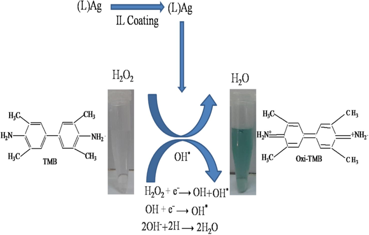 Proposed reaction mechanism for the detection of H2O2.