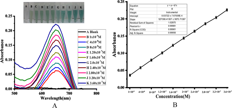(A). Colorimetric change concerning different concentrations of hydrogen peroxide and UV–Vis spectra; (B) Calibration plot of hydrogen peroxide concentration (1 × 10−9–3.6 × 10−7 M) versus absorbance.