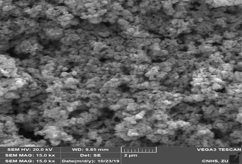 SEM image of the prepared L/AgNPs, magnification of 15 kx.