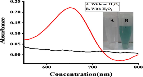 Shows the UV–Vis spectra and the colorimetric change. The colorimetric change was observed with a solution containing 30 µL ionic liquid capped nanoparticles, 180 µL TMB solution (10 mM), 550 µL buffer solution (6 mM), and 100 µL hydrogen peroxide solution (3.6 × 10−7 M). (A) In the absence of hydrogen peroxide (B) in the presence of 100 µL hydrogen peroxide solution (3.6 × 10−7 M), the color changes from transparent to greenish.