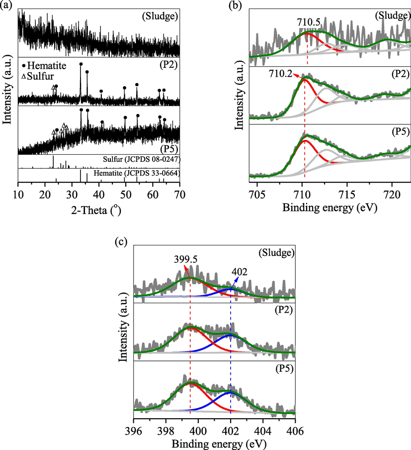 (a) XRD pattern and XPS (b) Fe 2p and (c) N 1s spectra of the sludge, P2 and P5 after doxycycline adsorption.
