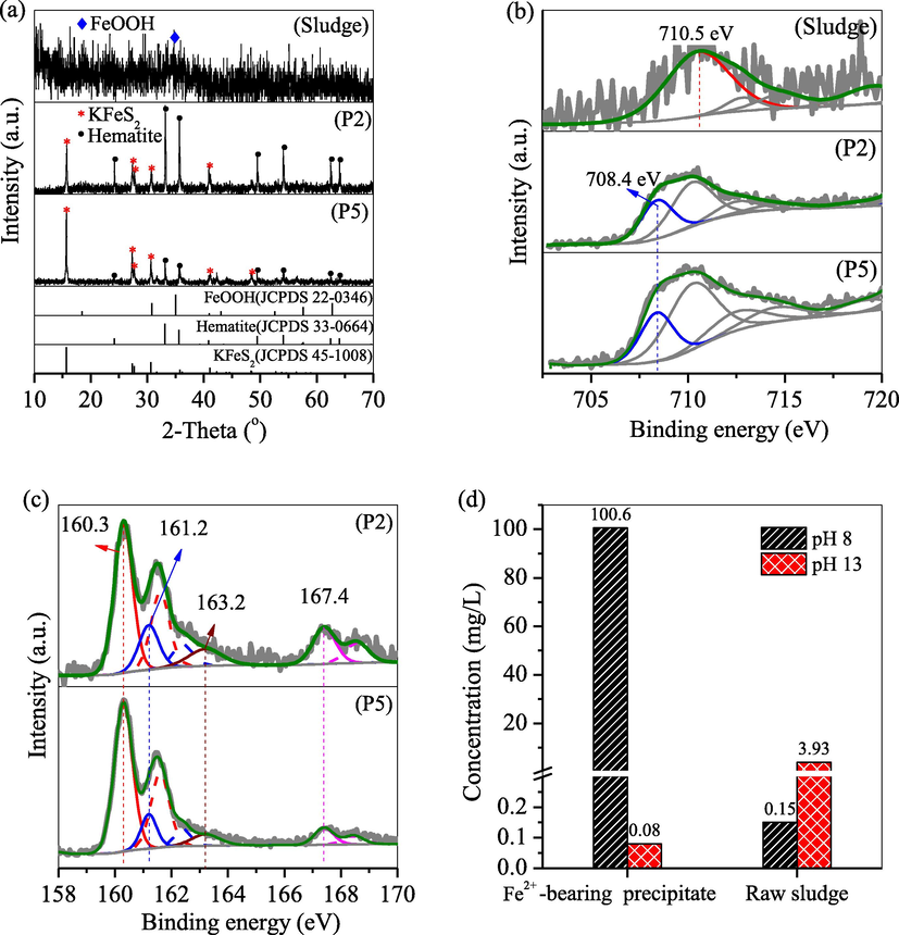 (a) X-ray diffraction (XRD) patterns and X-ray photoelectron spectroscopy (XPS) (b) Fe2p and (c) S2p spectra of the raw sludge, P2 and P5 and (d) Fe concentration in the supernatant after dissolution of the raw sludge and Fe2+-bearing sludge at pH 8 and 13.