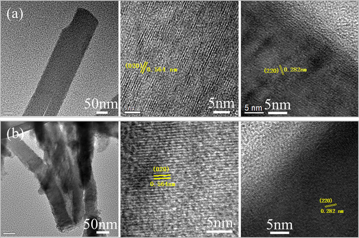 TEM images of (a) P2 and (b) P5.