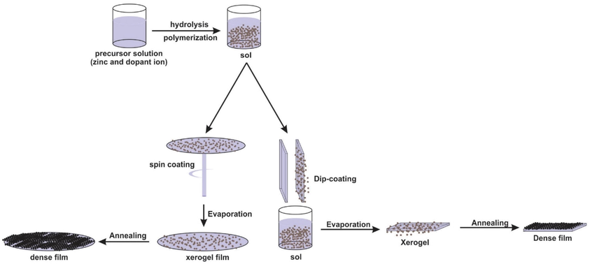 The general route of the sol–gel preparation method for the dip and spin coating, (cited from Mahmood & Naeem, 2017 & Kumari et al., 2021).