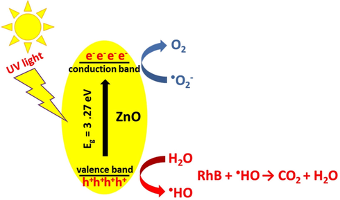The photocatalytic mechanism of ZnO powders against RhB dye.
